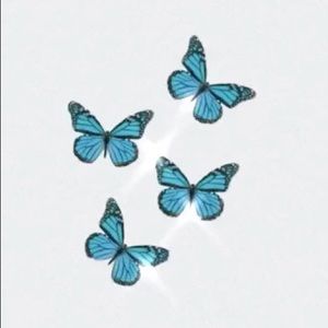 Meet your Posher, Sophia